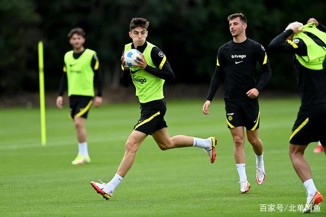 安东尼和霍伊伦出场