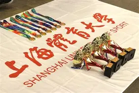 高水平运动员百度百科